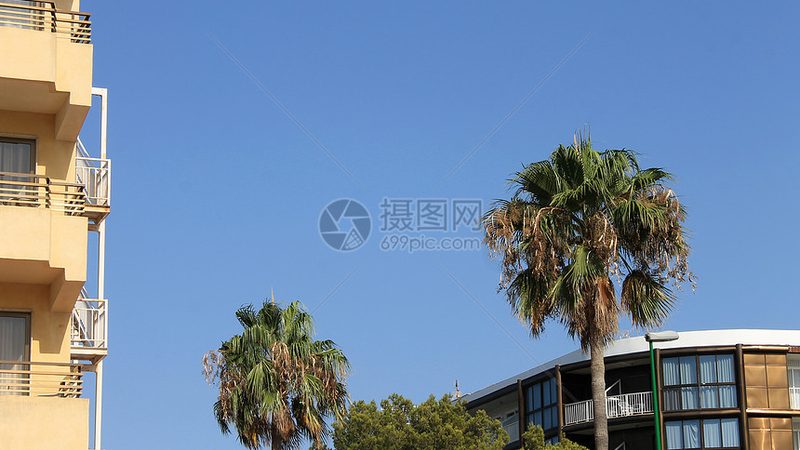 拓展训练：价格与效果背后的秘密